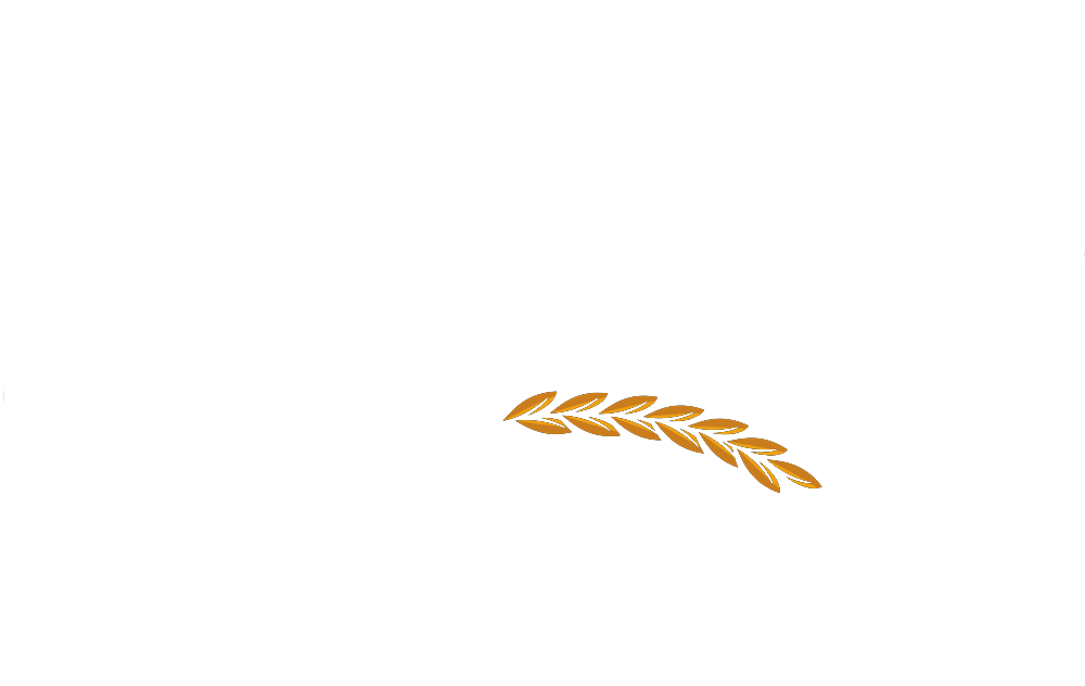 logo são francisco